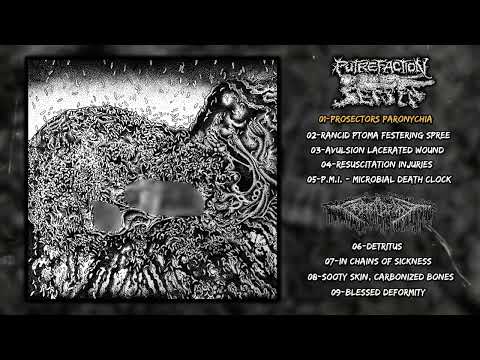 Putrefaction Sets In / Fester Decay Split 12" EP (2025 -  Goregrind)