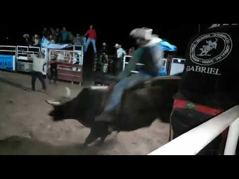 Competidor campea Do Rodeio Da Lavanderia