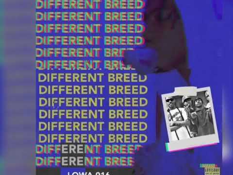 Lowa016 - Smashing It