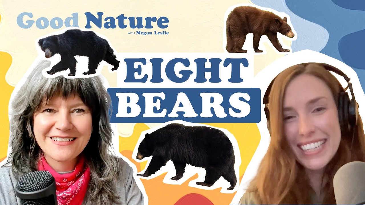 Why bears aren’t hibernating anymore | Good Nature with Megan Leslie