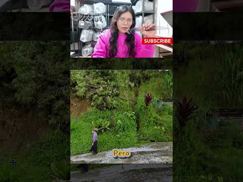 mexicana opina sobre nariño antioquia