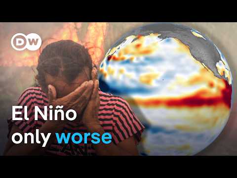 How 'Super El Niño' helps bake the planet | DW News
