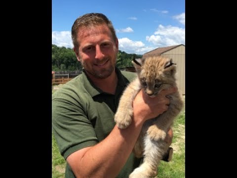 Animal Adventures with Jordan: Canadian Lynx