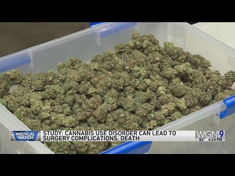 Study: Smoking marijuana could lead to serious complications, including death