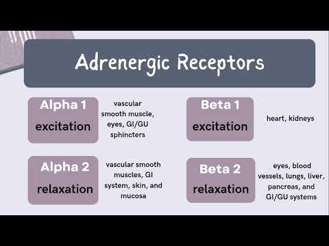 NP Learning - Review of Alpha and Beta Adrenergic Receptors 🧠