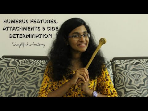 HUMERUS | BONES OF UPPER LIMB | ANATOMY | SIMPLIFIED ✔