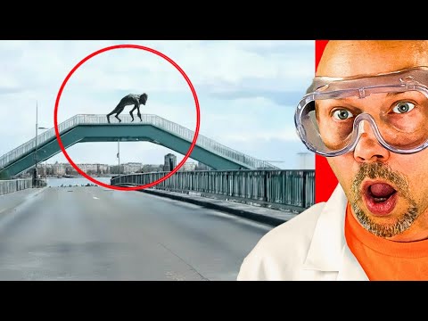 The most INSANE moments CAUGHT on dashcam