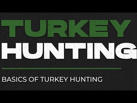 Turkey Hunting Basics