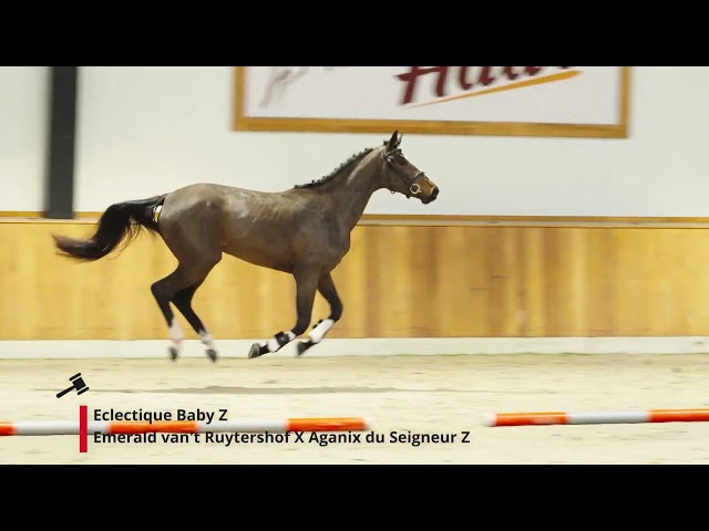 Eclectique Baby Z