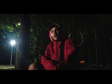 Dog Caos - Paisagismo (Clipe)