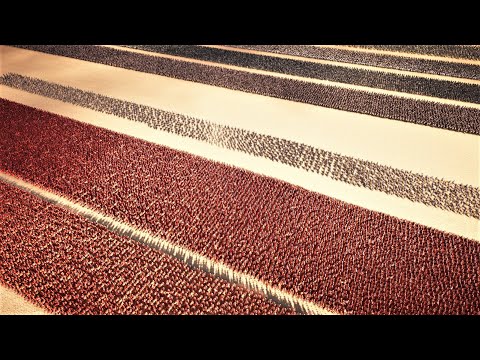 Romans Lay Siege to the City | Ultimate Epic Battle Simulator 2 | UEBS2