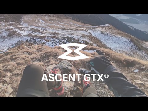 Thumbnail Youtube