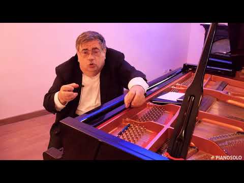 Schubert - I grandi compositori. Storie di musica - a cura del Maestro Vincenzo Balzani