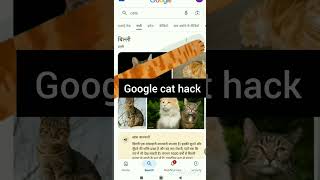 Google cat hack try this hack #amazing