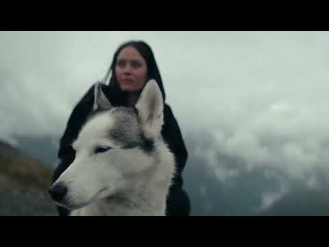 Бокс Thule Motion 3 XL 500 л titan glossy серый 6398 - фото 2 - id-p2179576282