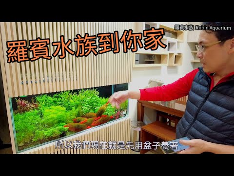 魚缸裝潢