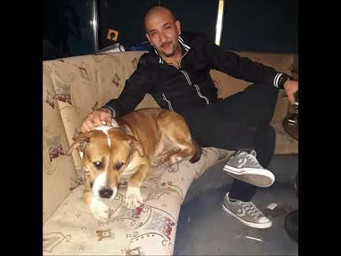 Crni Mc Jarrar -  U kvartu mome