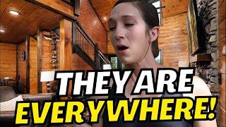 You Won’t BELIEVE What We Found in our Cabin! UNACCEPTABLE 