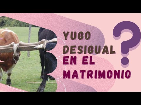 YUGO DESIGUAL en el matrimonio