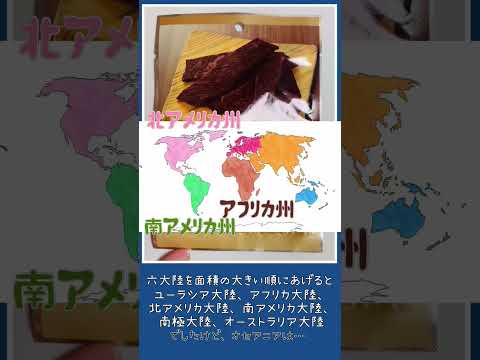 薬学科 オセアニア