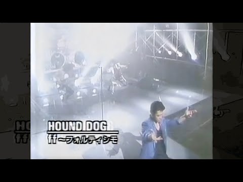 HOUND DOG