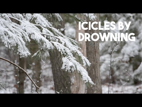 Fall Day - The Icicles