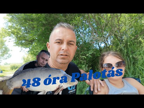 48 óra Palotás, tolatva nem mentünk haza