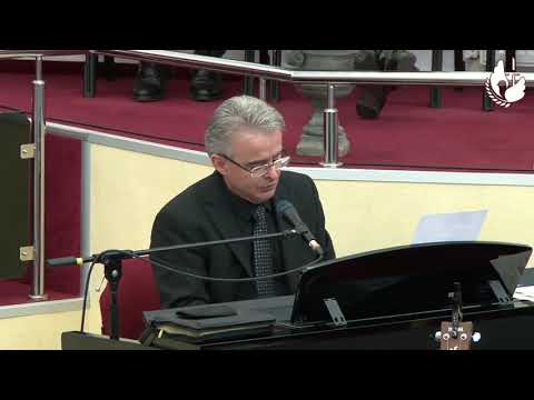 Nicu Wagner - Doresc sa fie numai crini