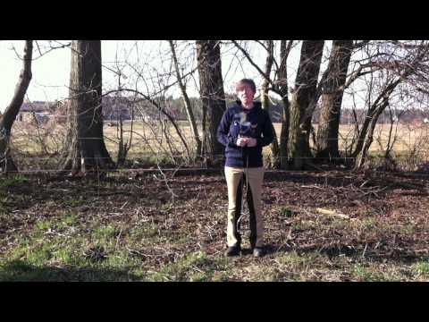 Stephanie Hornung - Steigbügel richtig einsetzen