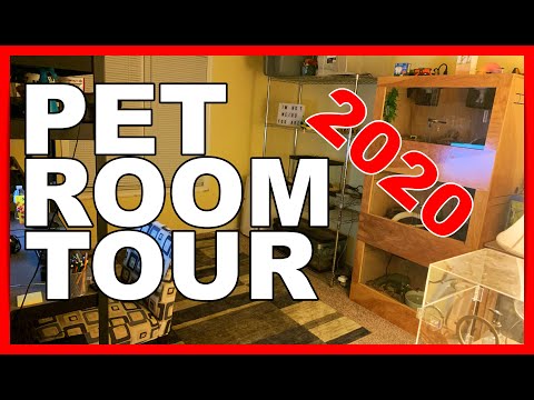 Pet Room Tour - March 2020