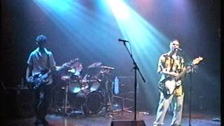 Mr Tomorrow - Gilligans Fish