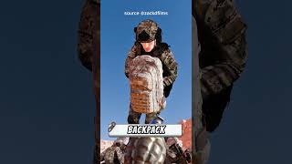Download lagu A Desperate Action! Covering a Grenade for a Comrade' #fypシ #pov #snake #facts #viral #funny #remix mp3 Download lagu A Desperate Action! Covering a Grenade for a Comrade' #fypシ #pov #snake #facts #viral #funny #remix mp3