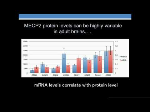 L Williams: Systems Genetics Approach to Understanding Regulation of MECP2 Expression in the Brain.
