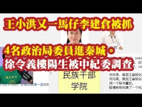 王小洪又一马仔李建仓被抓，4名政治局委员进秦城。徐令义楼阳生接受中纪委调查，连小敏涉案。徐令义和习近平前妻柯玲玲的关系 2026-06-26 08:10
