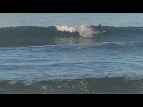 Huntington Beach, CA, 1/10/2021 AM - Part 4