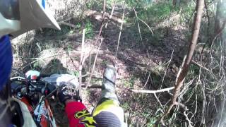 Freeride 250 Lantana Days 2014-04-21