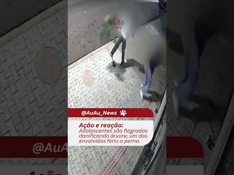 Uma cena gravada no Centro de Jaguapitã, PR, gerou revolta nos moradores. #jaguapitã #natureza