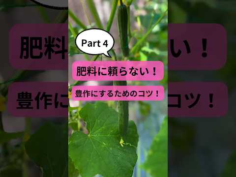 屋内および庭園の植物に効果的に肥料を与えるには、天然の自家製肥料を選択してください。  庭園