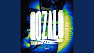 Cover art for gonzalo