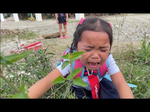 Way klase kay pula ang calendar 😅