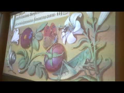 Château de Loches, cité royale, installation et animation