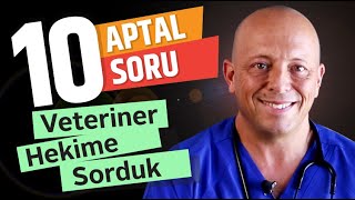 Kedi ve Köpekleri Vejetaryen Yapabilir Miyiz? (Veteriner Ateş Barut)
