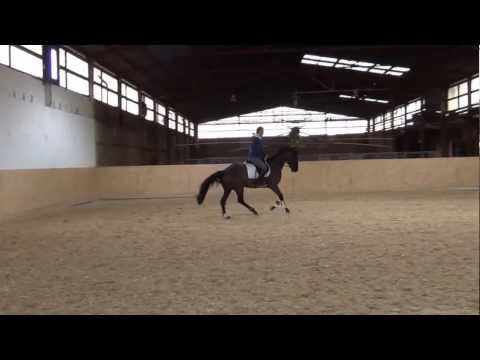 Suri E  v. Silberschmied-Connery, geb. 2010