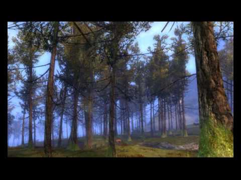 Guild Wars 2 Soundtrack Fear not this Night