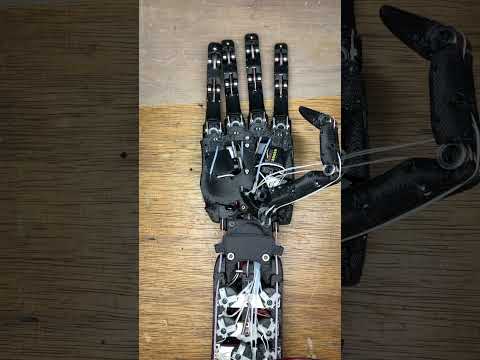 V2 DexHand: Tendon driven robot hand comes back to life 😁