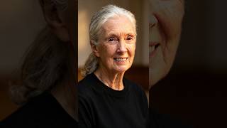 Download lagu Dr. Jane Goodall - The Biggest Mistake Young People Make💡#shorts #shortsfeed #shortsvideo #trending mp3 Download lagu Dr. Jane Goodall - The Biggest Mistake Young People Make💡#shorts #shortsfeed #shortsvideo #trending mp3