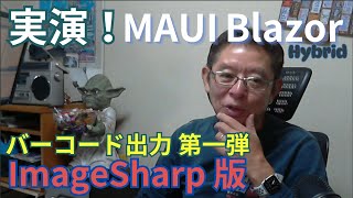 MAUI Blazor ImageSharp