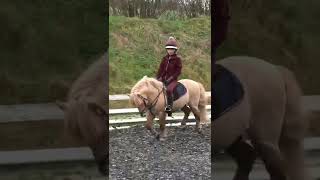 SHETLAND PONY GRAND NATIONAL TRAINING. Vlog going live today at 4pm! UK đ€©đ„ Donât miss it!