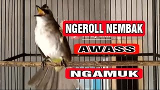 Download lagu Trucuk bisu langsung nyamber di pancing dengan suara trucuk ngekek ngeroll dan nembak ini mp3 Download lagu Trucuk bisu langsung nyamber di pancing dengan suara trucuk ngekek ngeroll dan nembak ini mp3