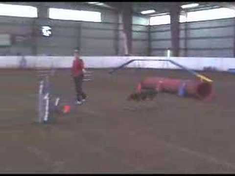 Tehya agility trials